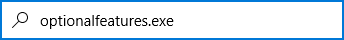 optional_features_run